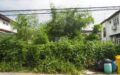 Land For Sale in Soi Prachachuen Nonthaburi 8 Yak 1/4
