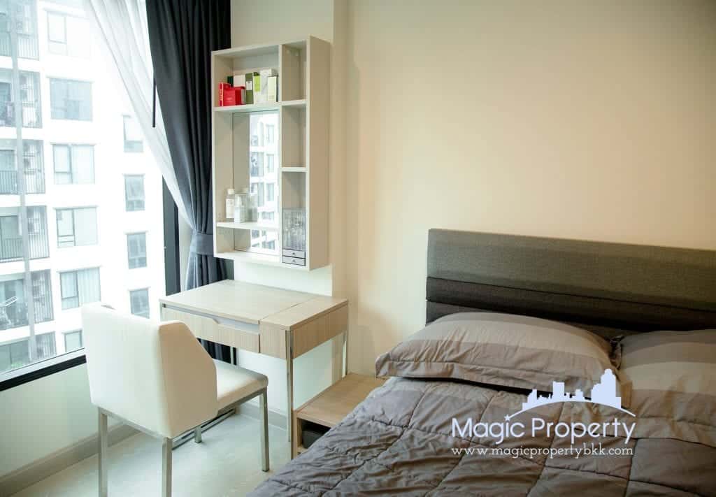 1 Bedroom Condominium For Rent in The Niche Mono Sukhumvit 50, Phra khanong, Khlong Toei, Bangkok 10110