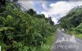 Land for sale in Kamala, Kathu, Phuket