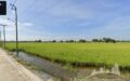 4 Rai Land for Sale on Bang Bo, Samut Prakan