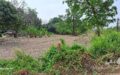 7 Rai Land for Sale in Chon Buri