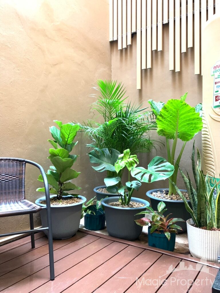 3 Bed Townhome in Bang Sue, Bangkok | ฿40,000 | MGP1484 – Photo 14