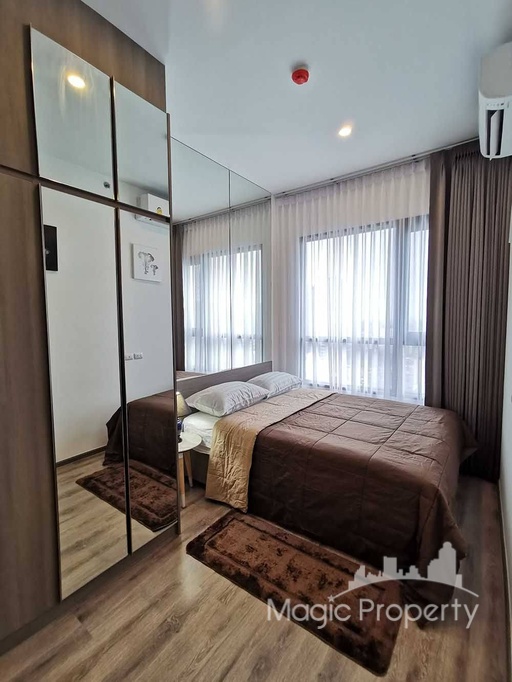 KnightsBridge Prime Onnut